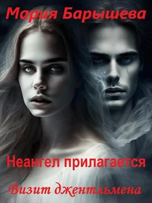 Обложка Визит джентльмена