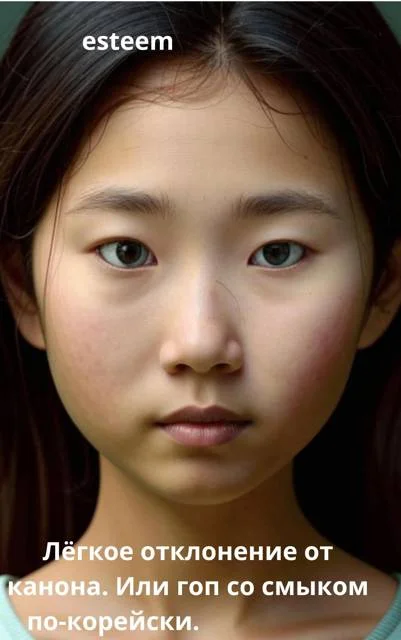 Обложка Легкое отклонение от канона. Или гоп со смыком по-корейски