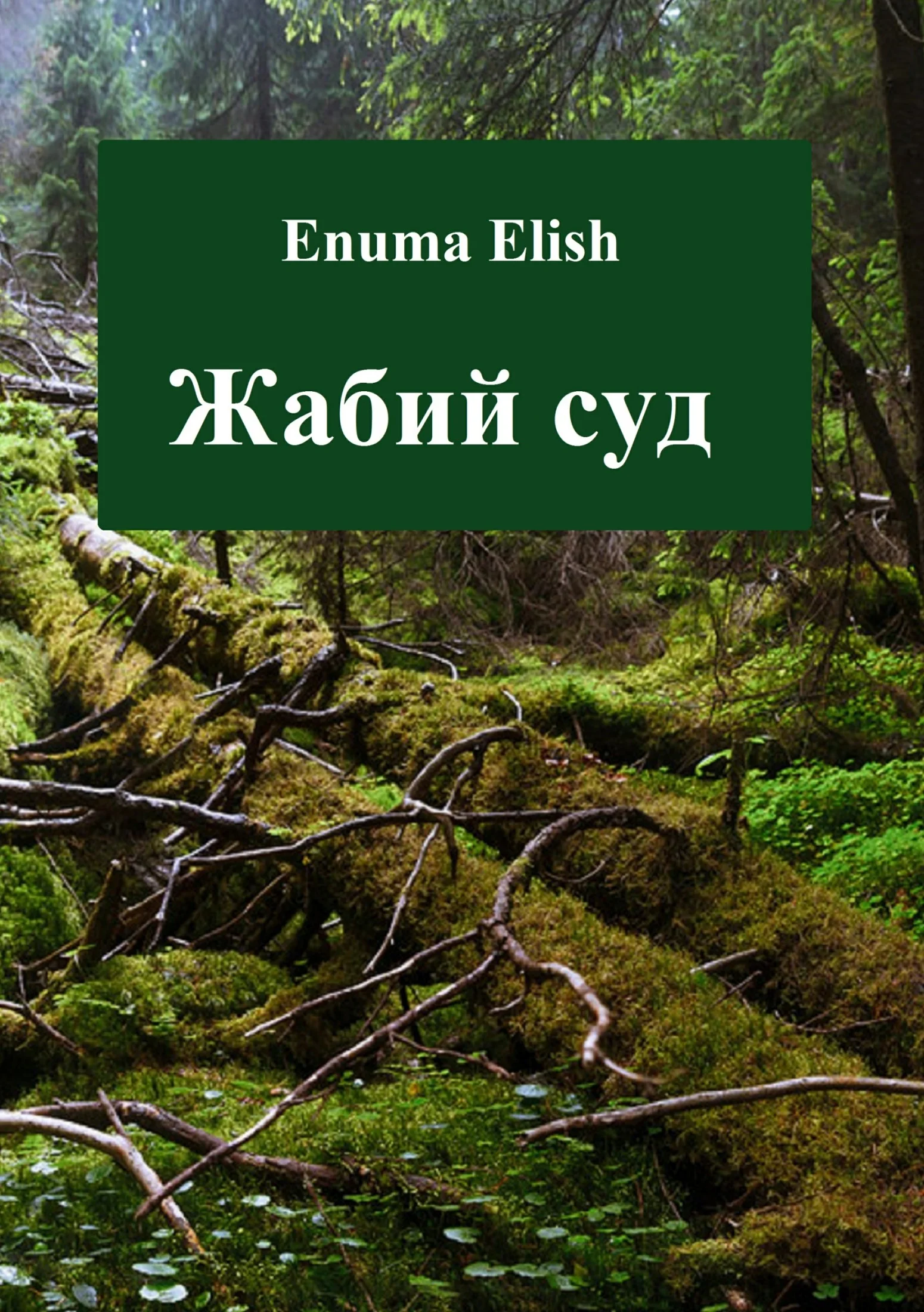 Обложка Жабий суд