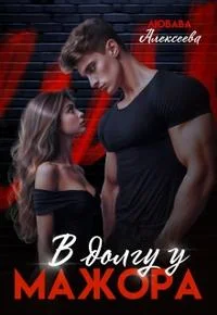 Обложка В долгу у мажора