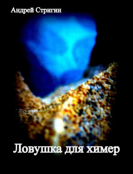 Обложка Ловушка для химер