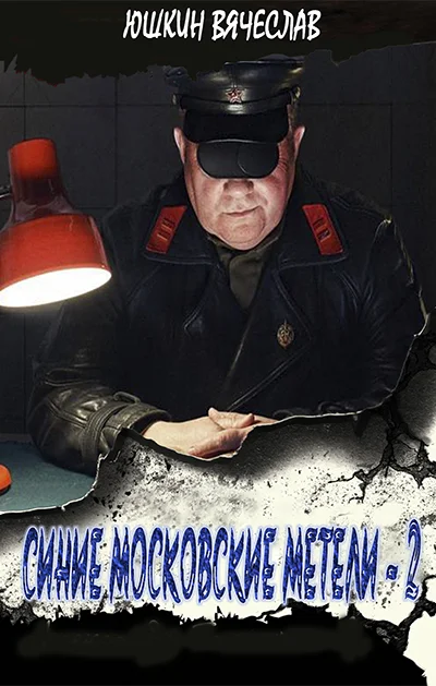Обложка Синие московские метели 2
