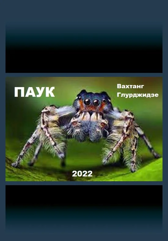 Обложка Паук