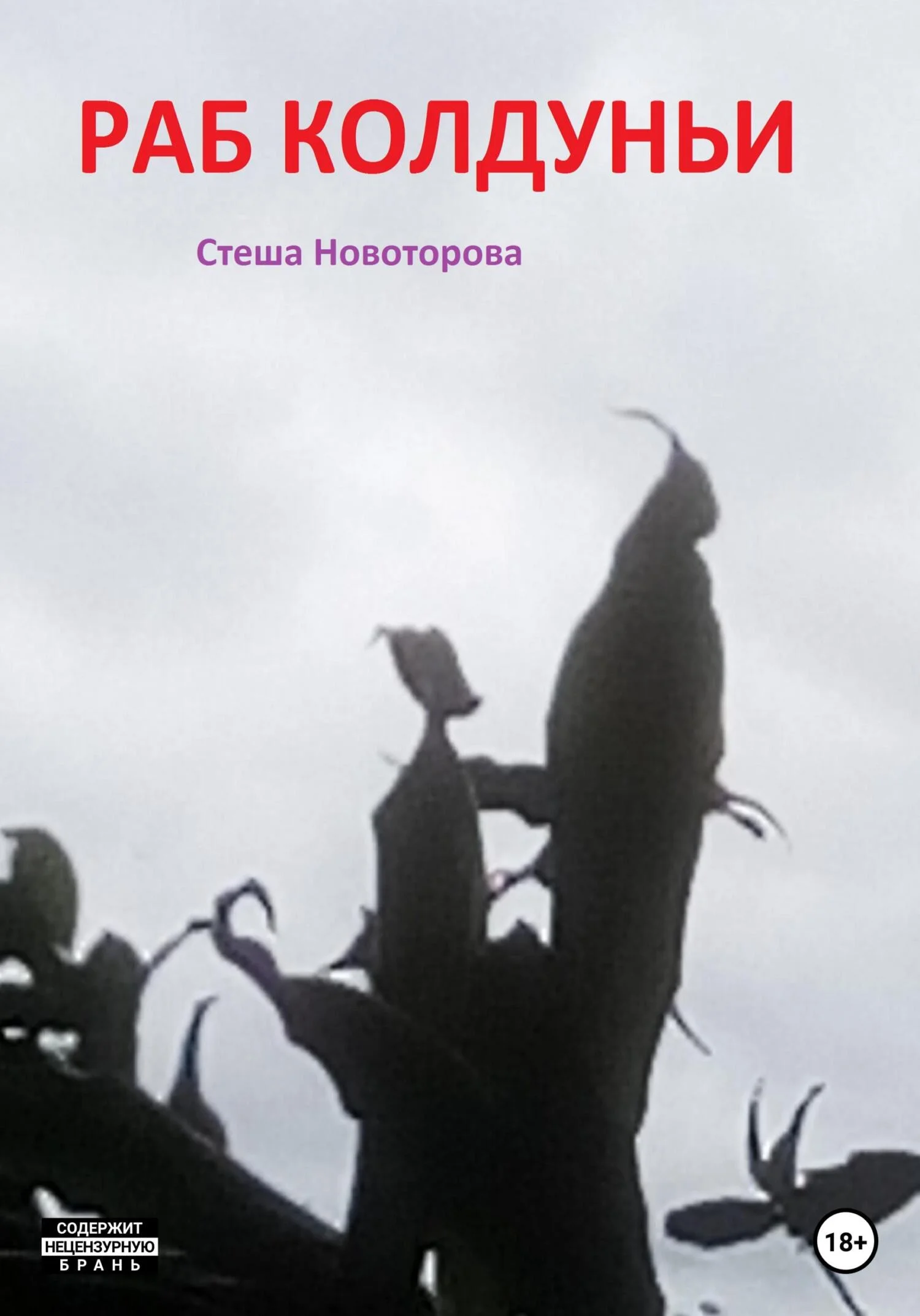 Обложка Раб колдуньи