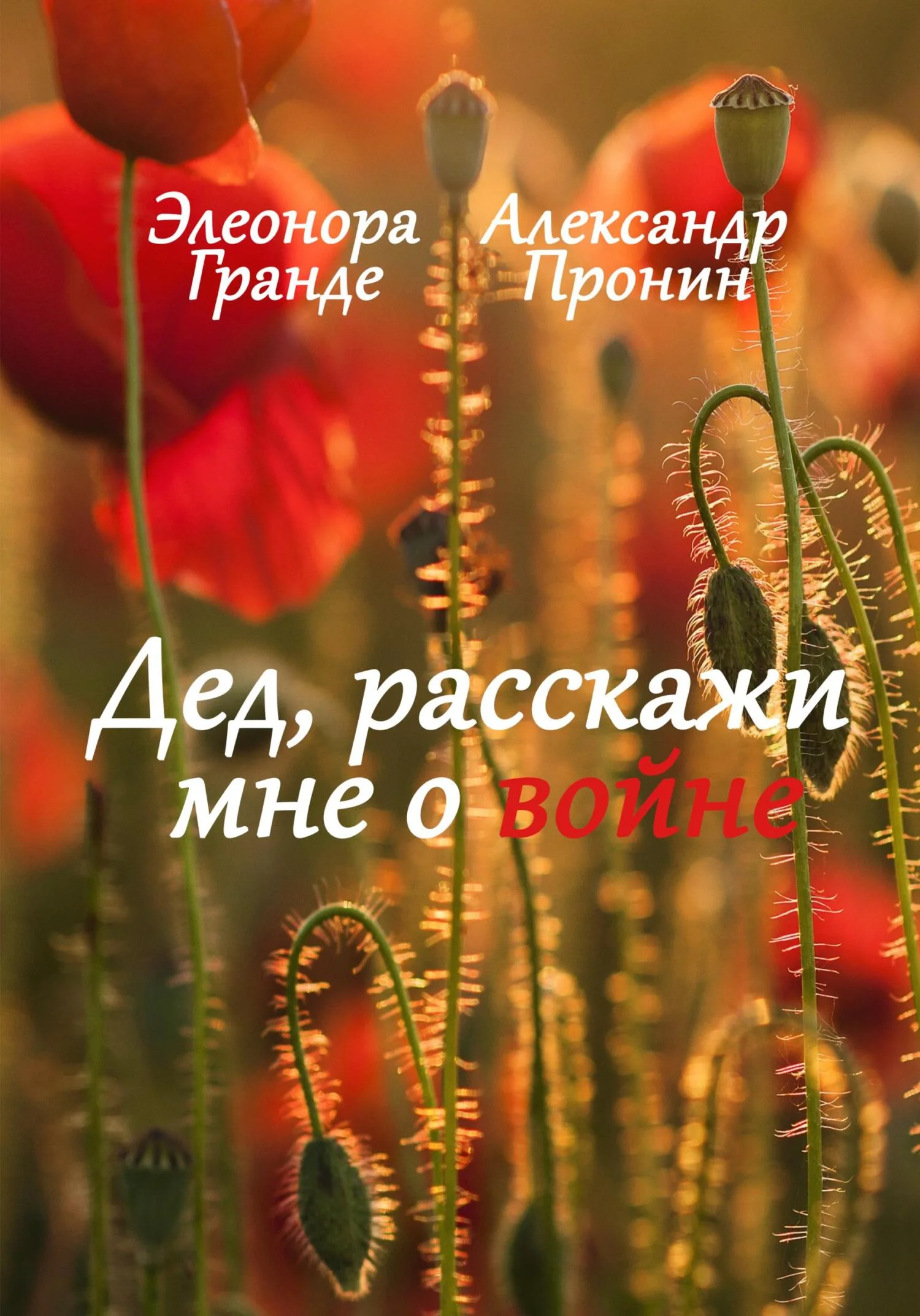 Обложка Дед, расскажи мне о войне