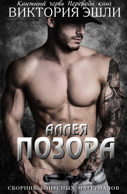 Обложка Сборник бонусных материалов к серии «Аллея Позора»