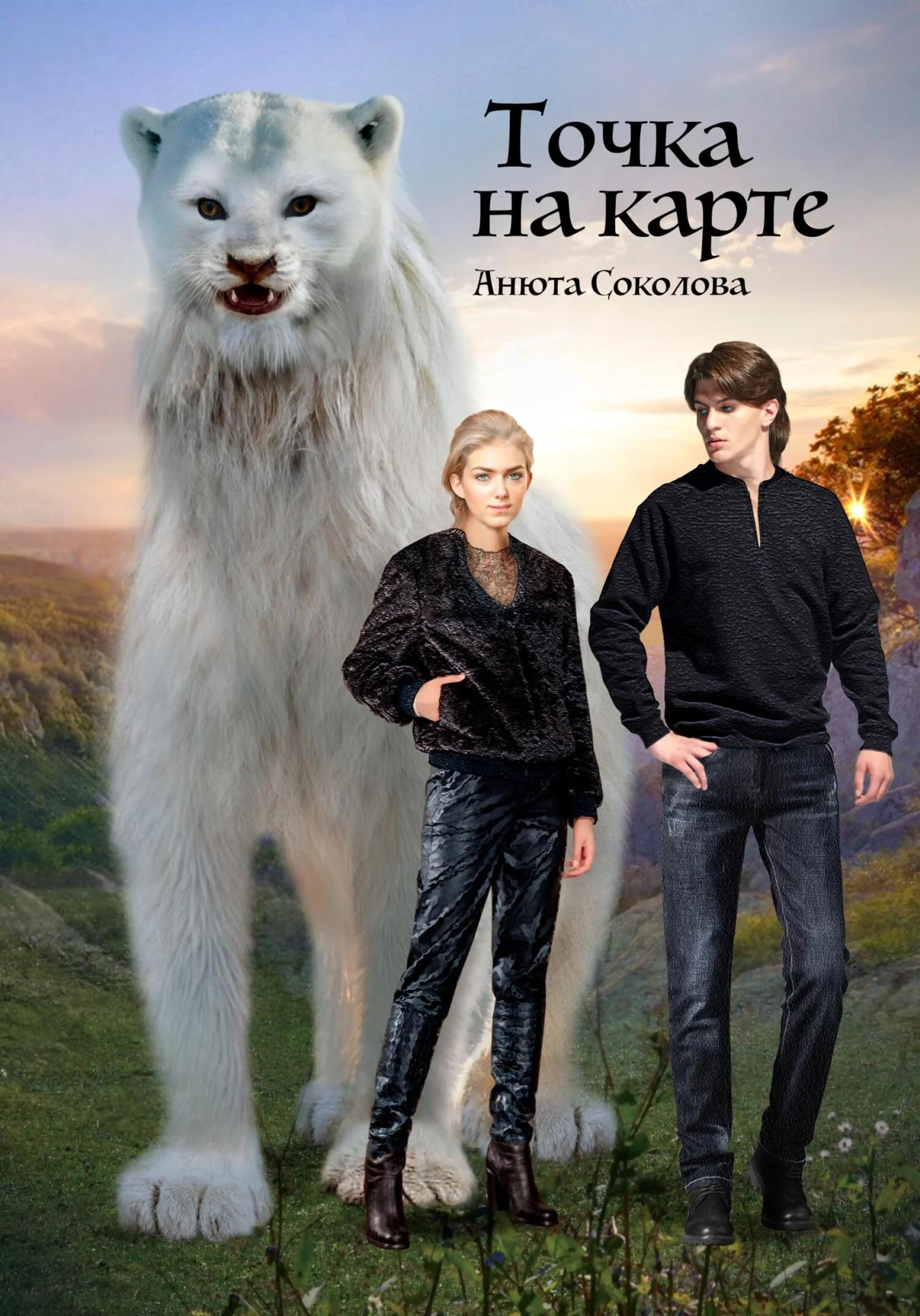 Обложка Точка на карте