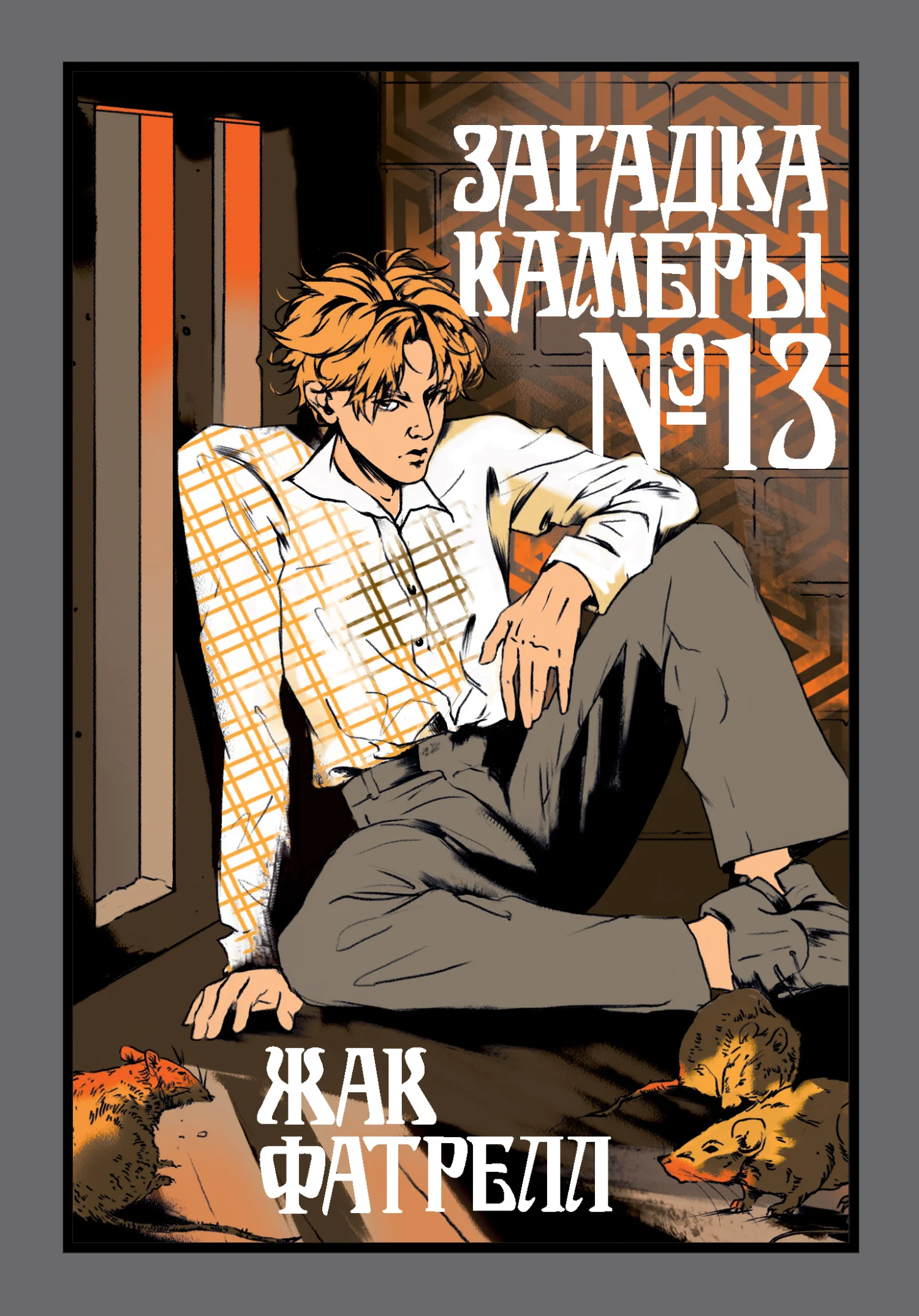 Обложка Загадка камеры № 13