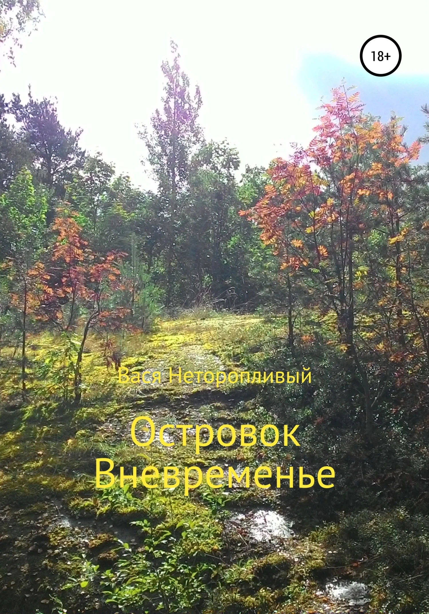 Обложка Островок Вневременье