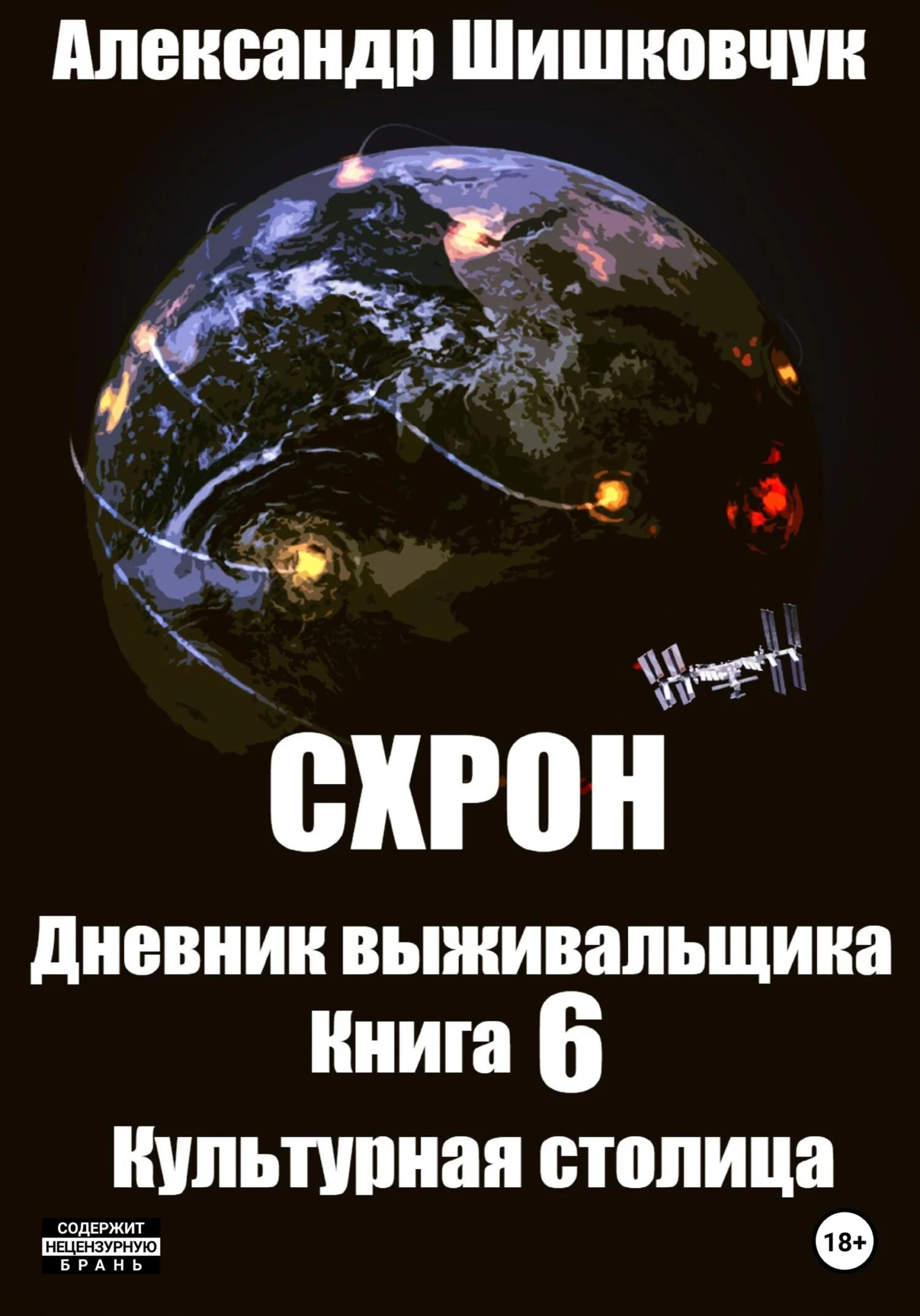 Обложка Схрон. Дневник выживальщика. Книга 6. Культурная столица