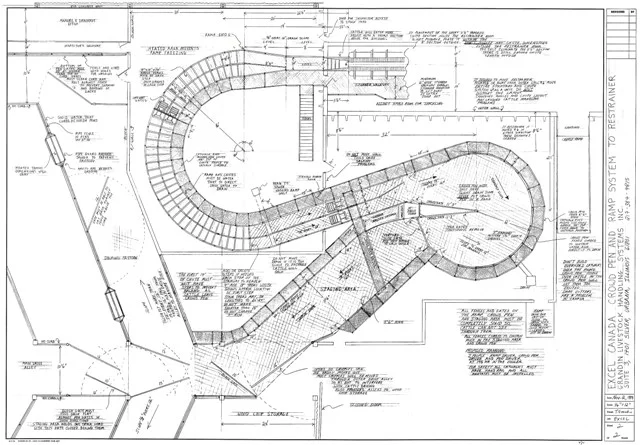 Обложка Развитие навыков рисования и графического дизайна у людей с аутизмом, думающих картинками