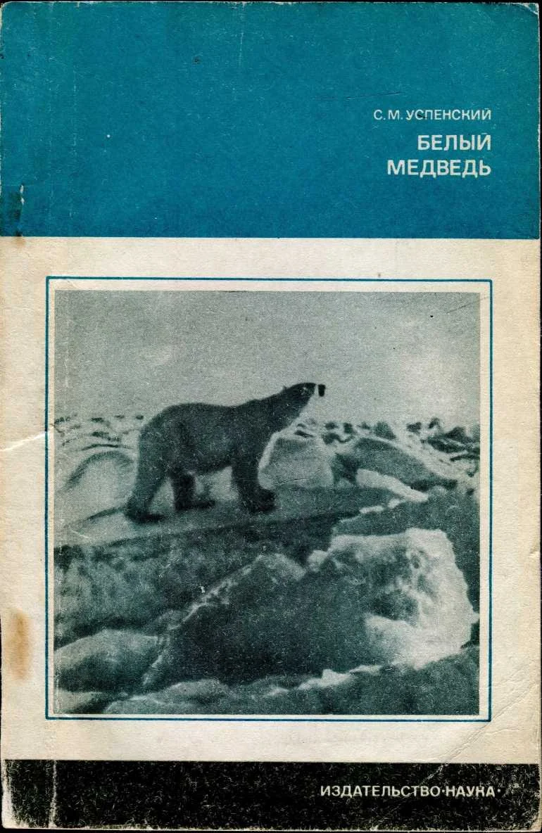 Обложка Белый медведь