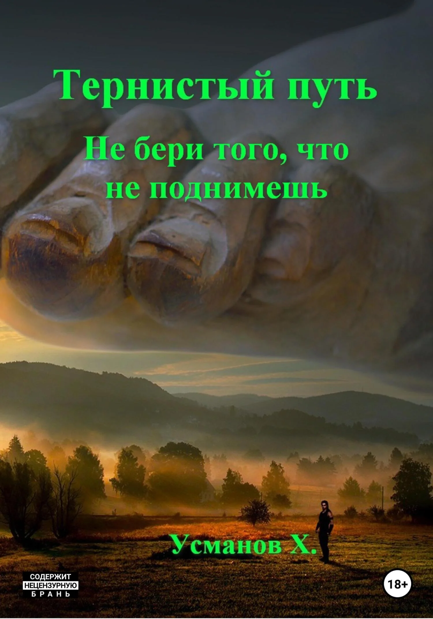 Обложка Не бери того, что не поднимешь