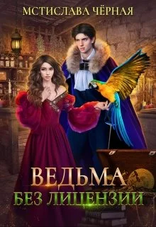 Обложка Ведьма без лицензии