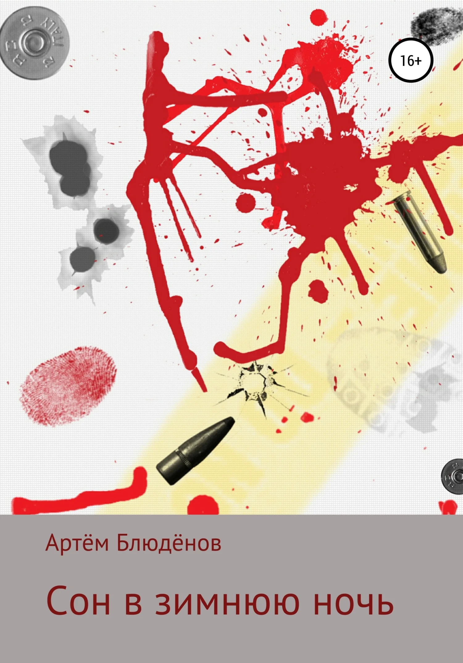 Обложка Сон в зимнюю ночь