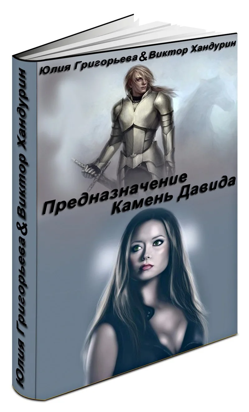 Обложка Предназначение. Камень Давида
