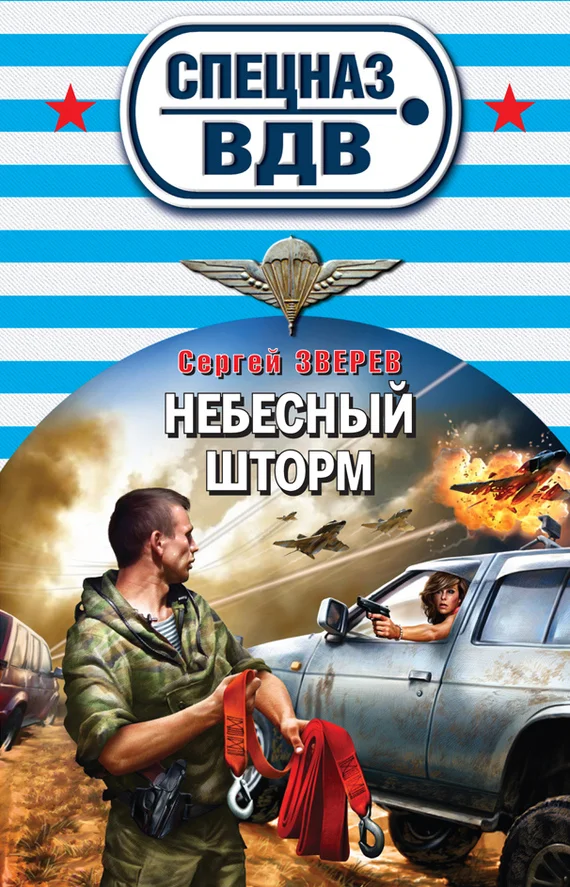 Обложка Небесный шторм