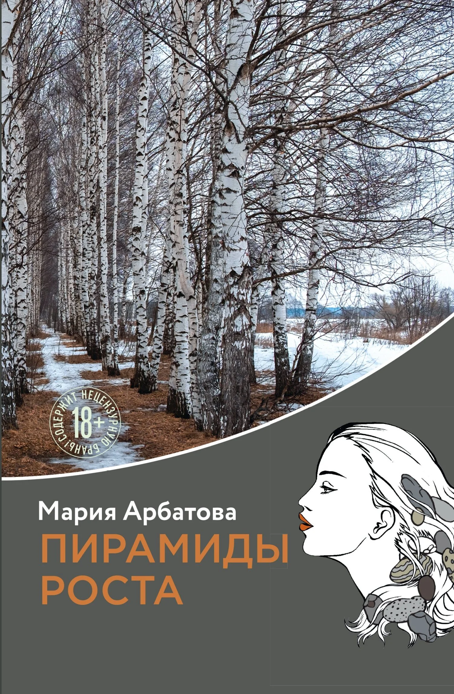 Обложка Пирамиды роста