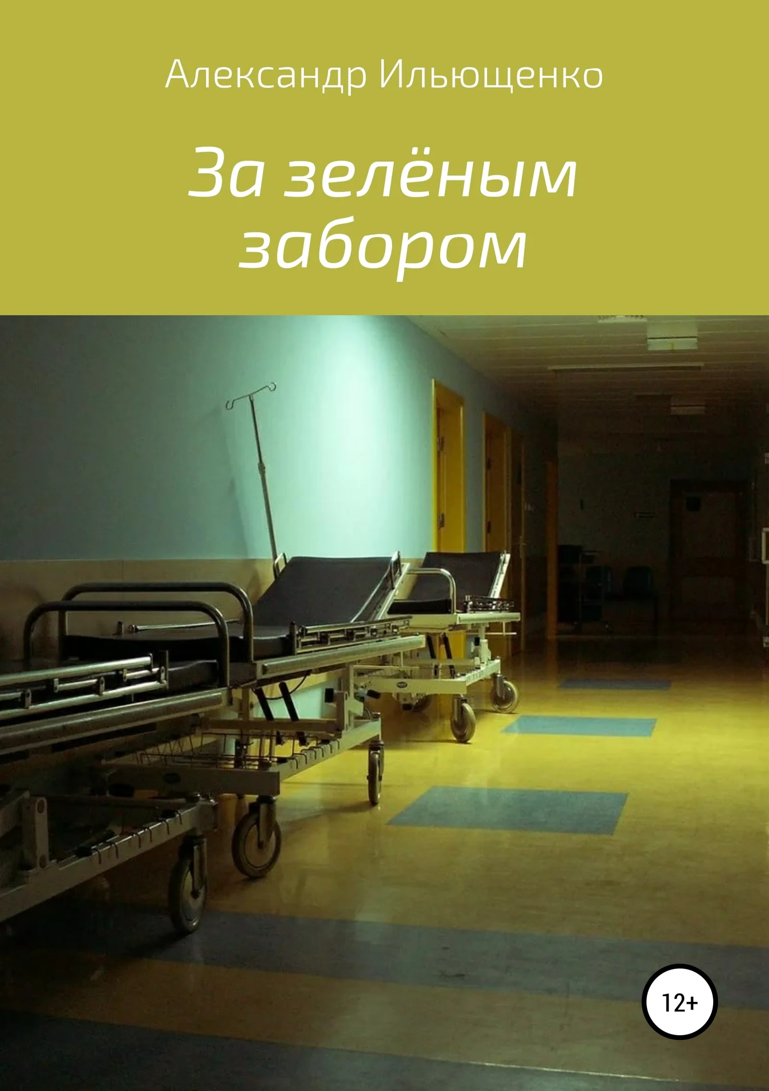 Обложка За зелёным забором