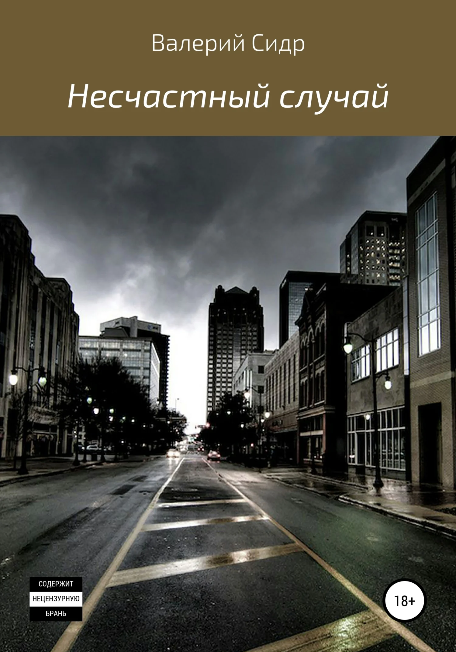 Обложка Несчастный случай
