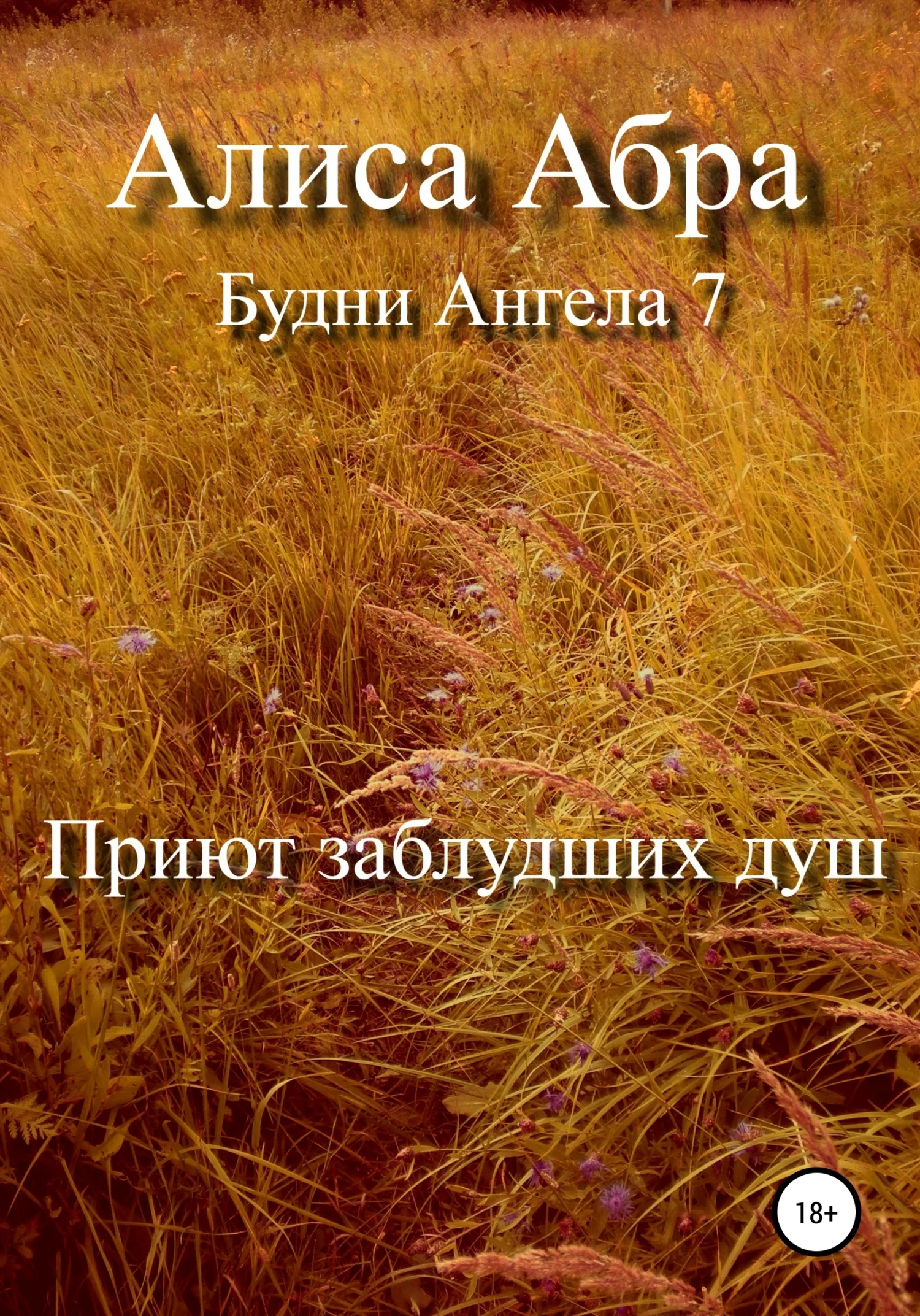 Обложка Приют заблудших душ