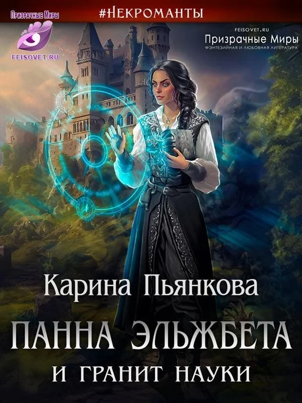 Обложка Панна Эльжбета и гранит науки