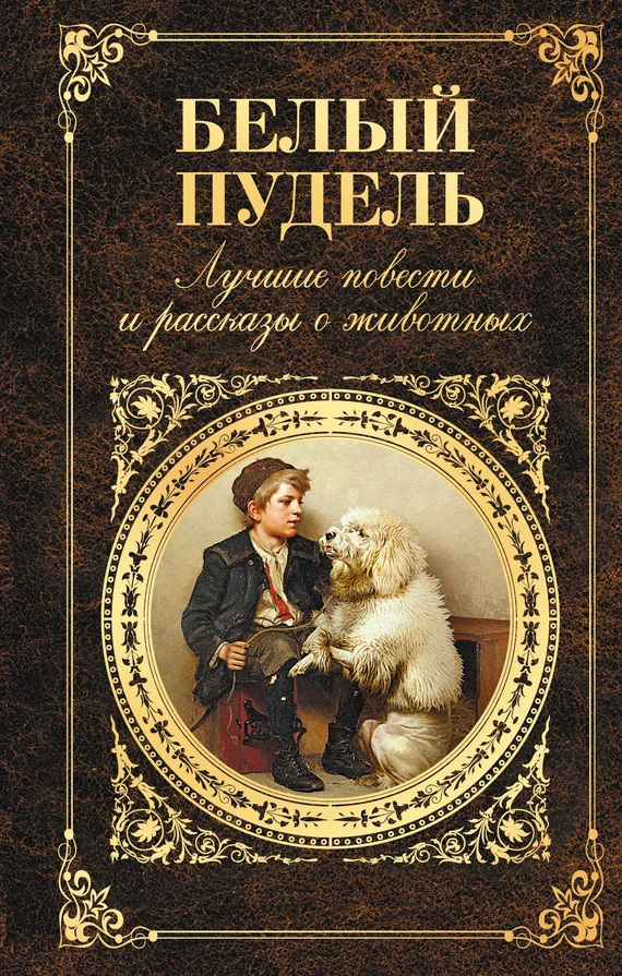Обложка Белый пудель