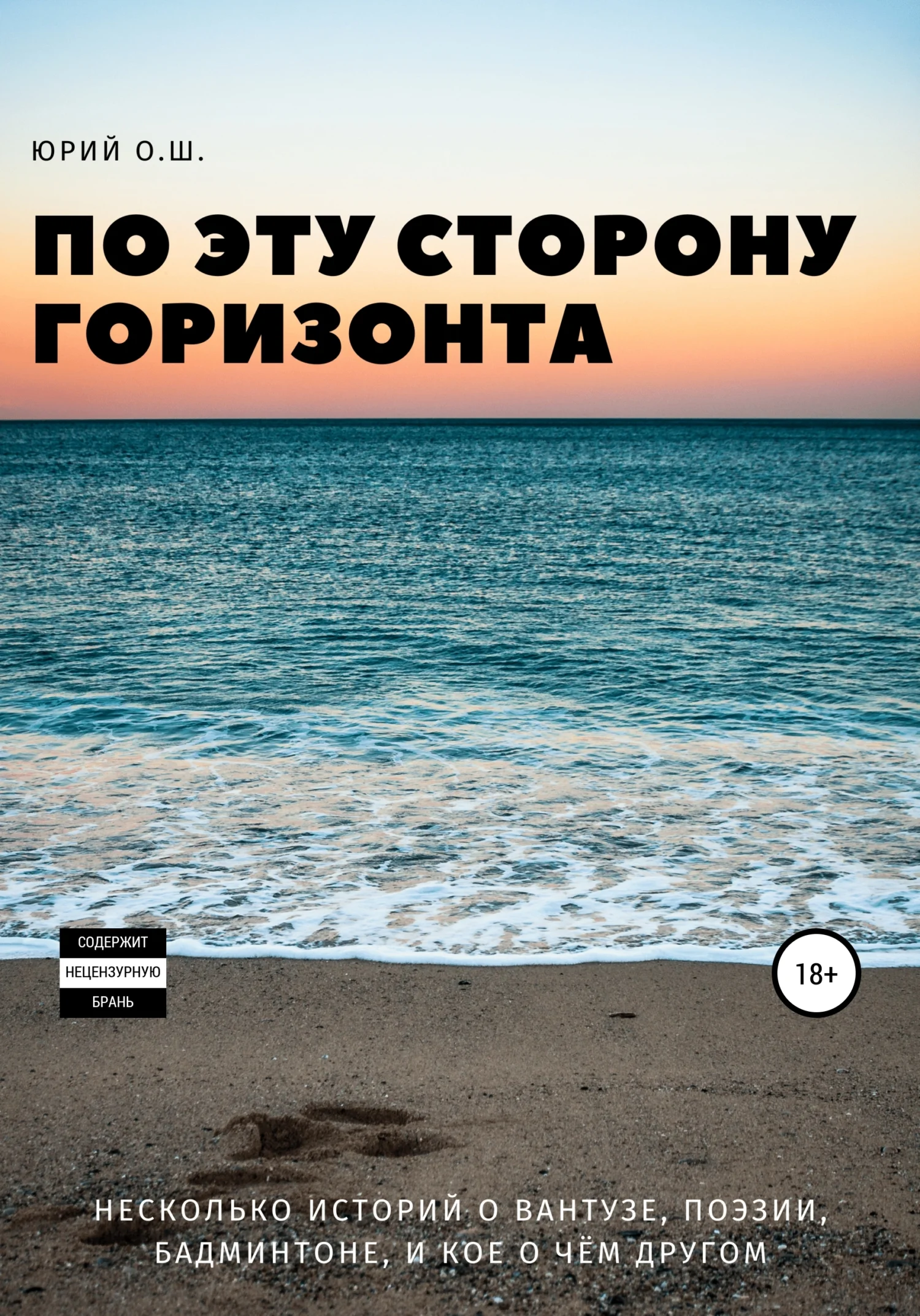 Обложка По эту сторону горизонта (несколько историй о вантузе, поэзии, бадминтоне, и кое о чём другом)