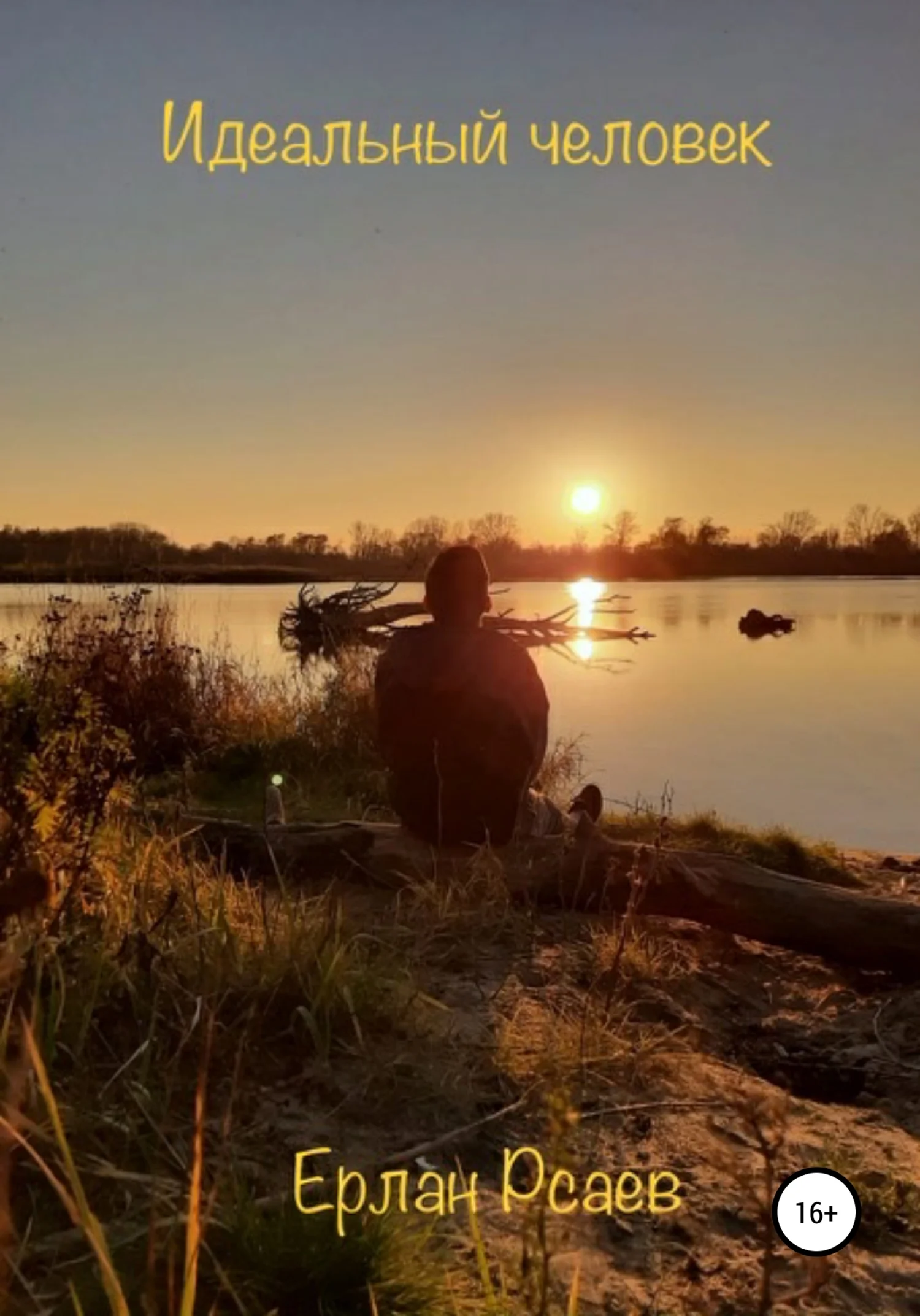 Обложка Идеальный человек