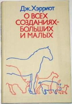 Обложка О всех созданиях – больших и малых