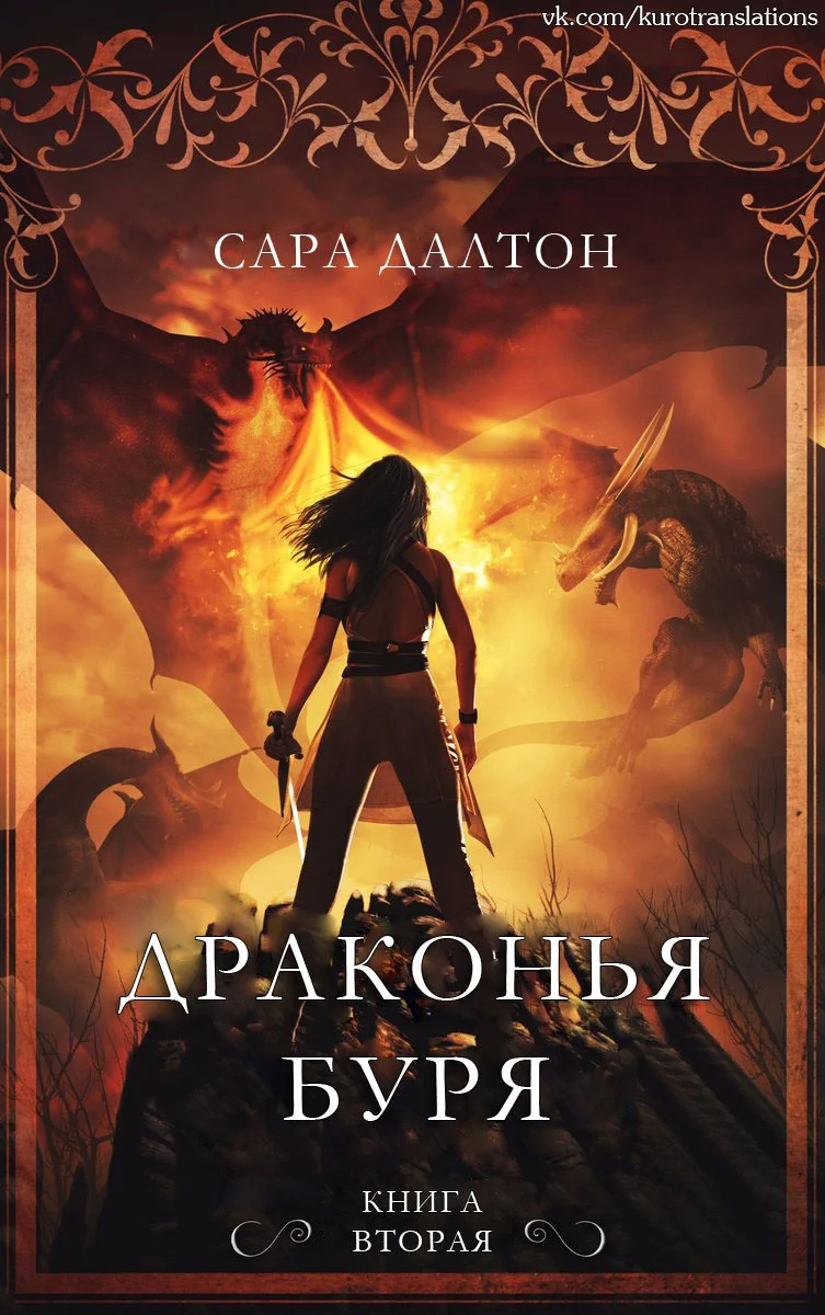 Обложка Драконья буря