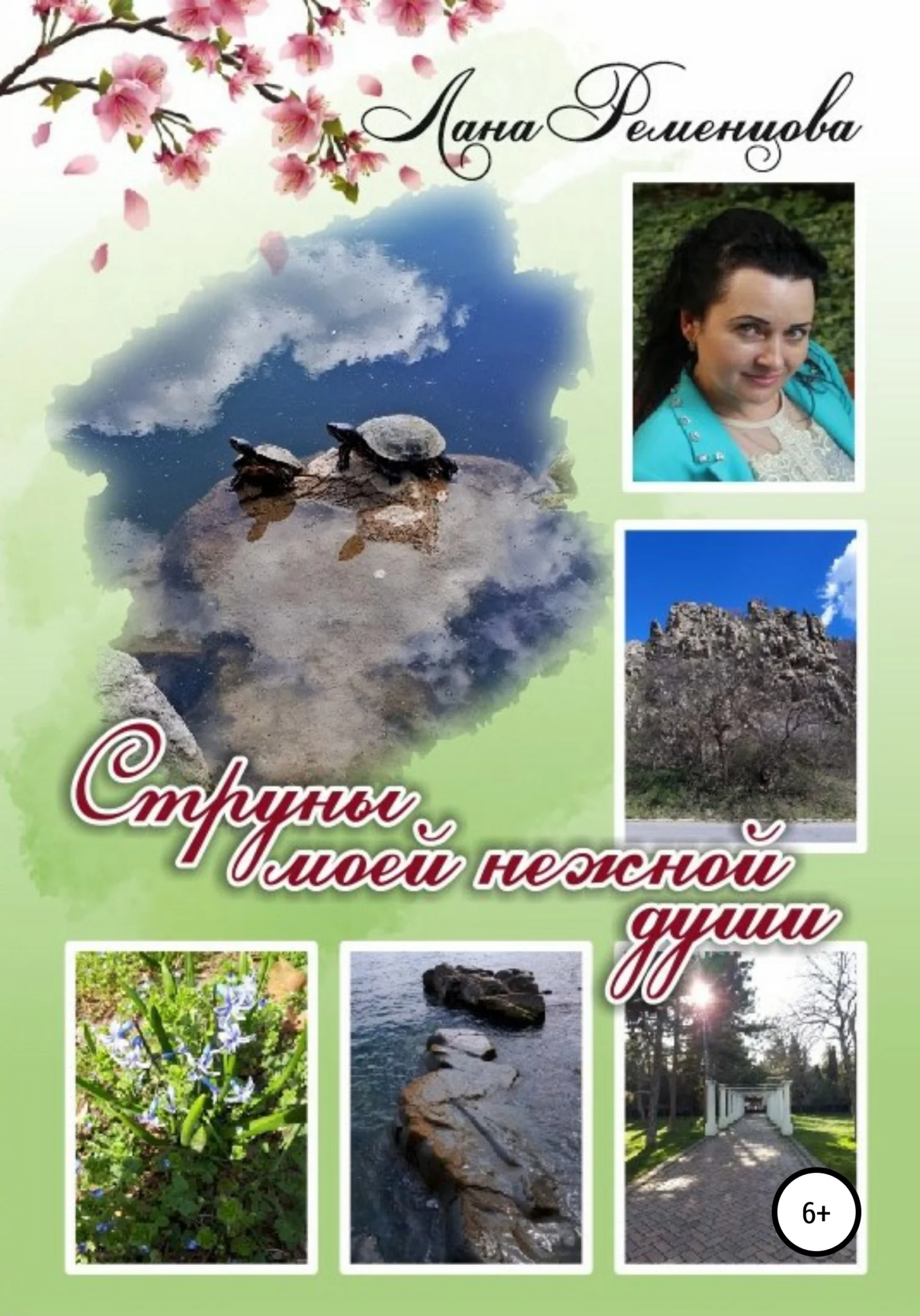 Обложка Струны моей нежной души