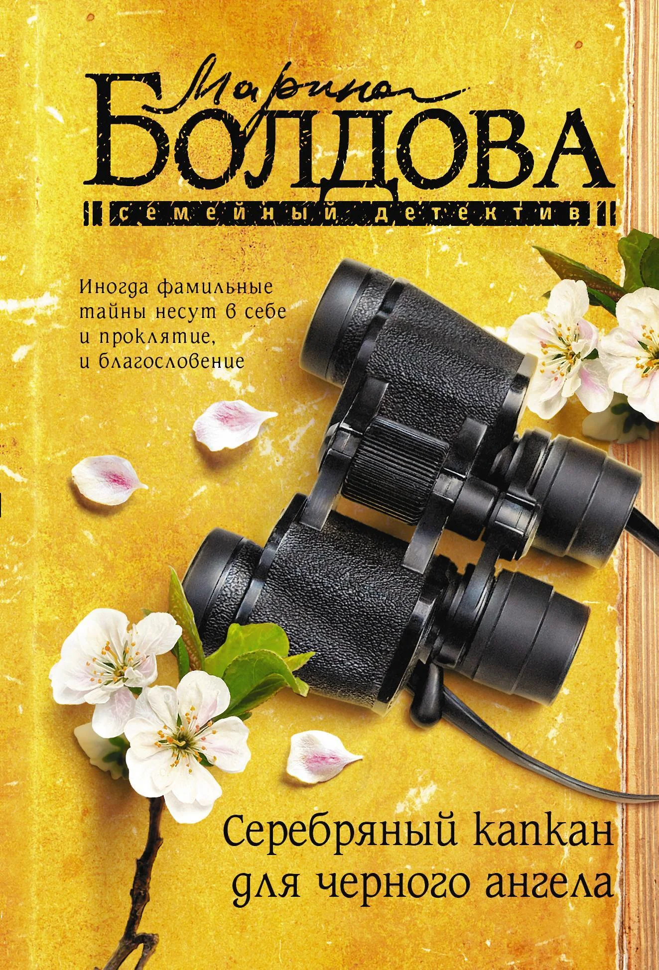 Обложка Серебряный капкан для черного ангела