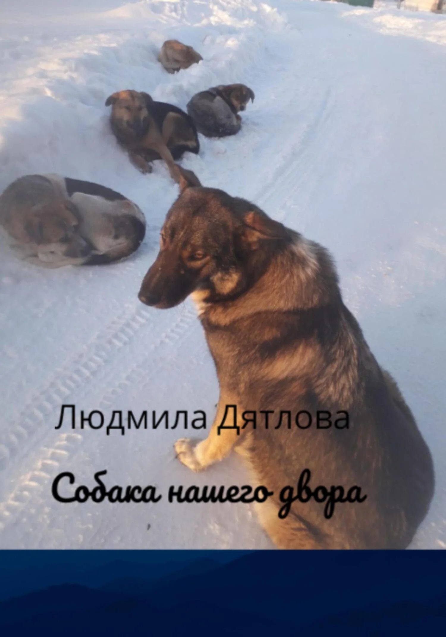 Обложка Собака нашего двора