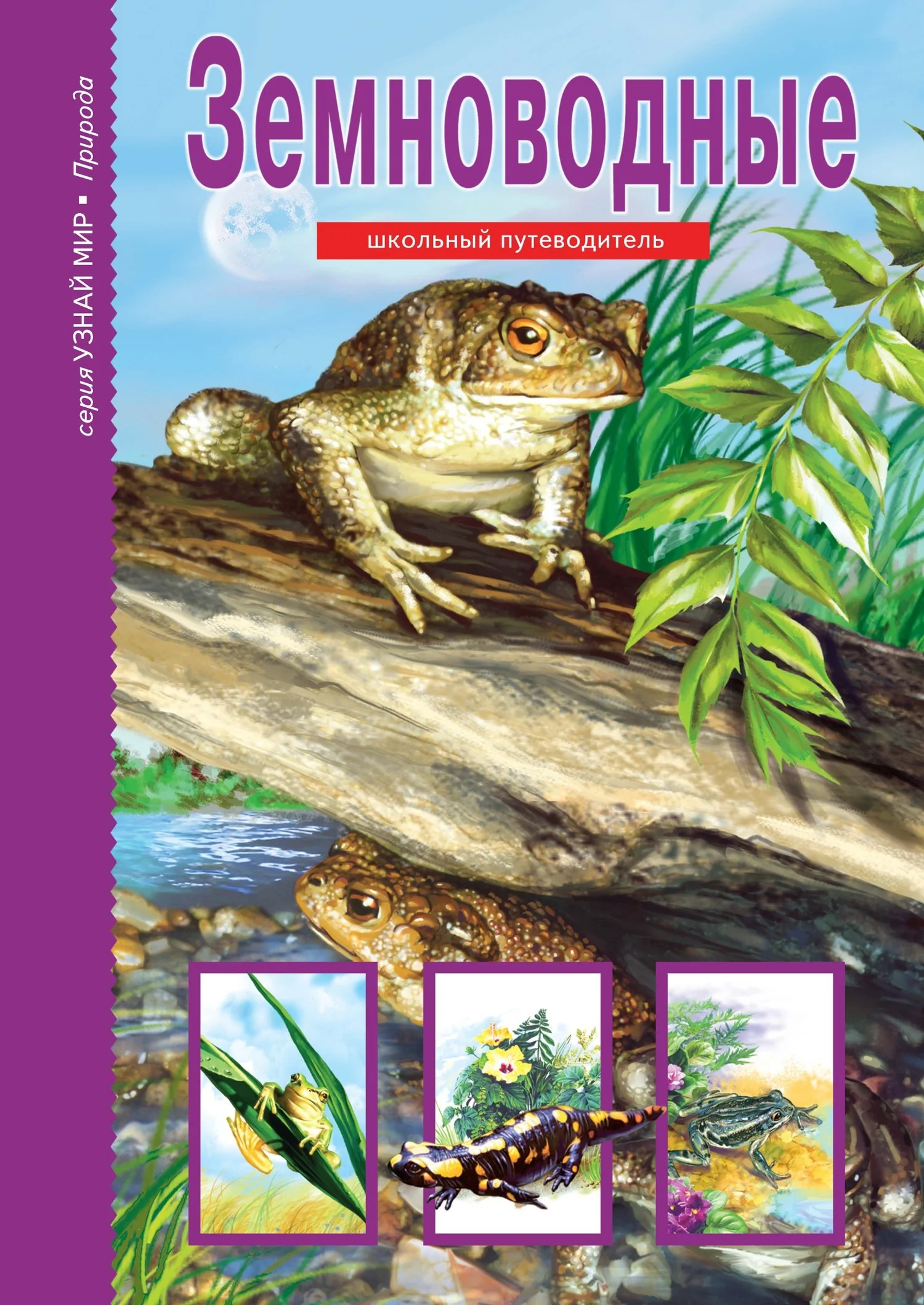 Обложка Земноводные