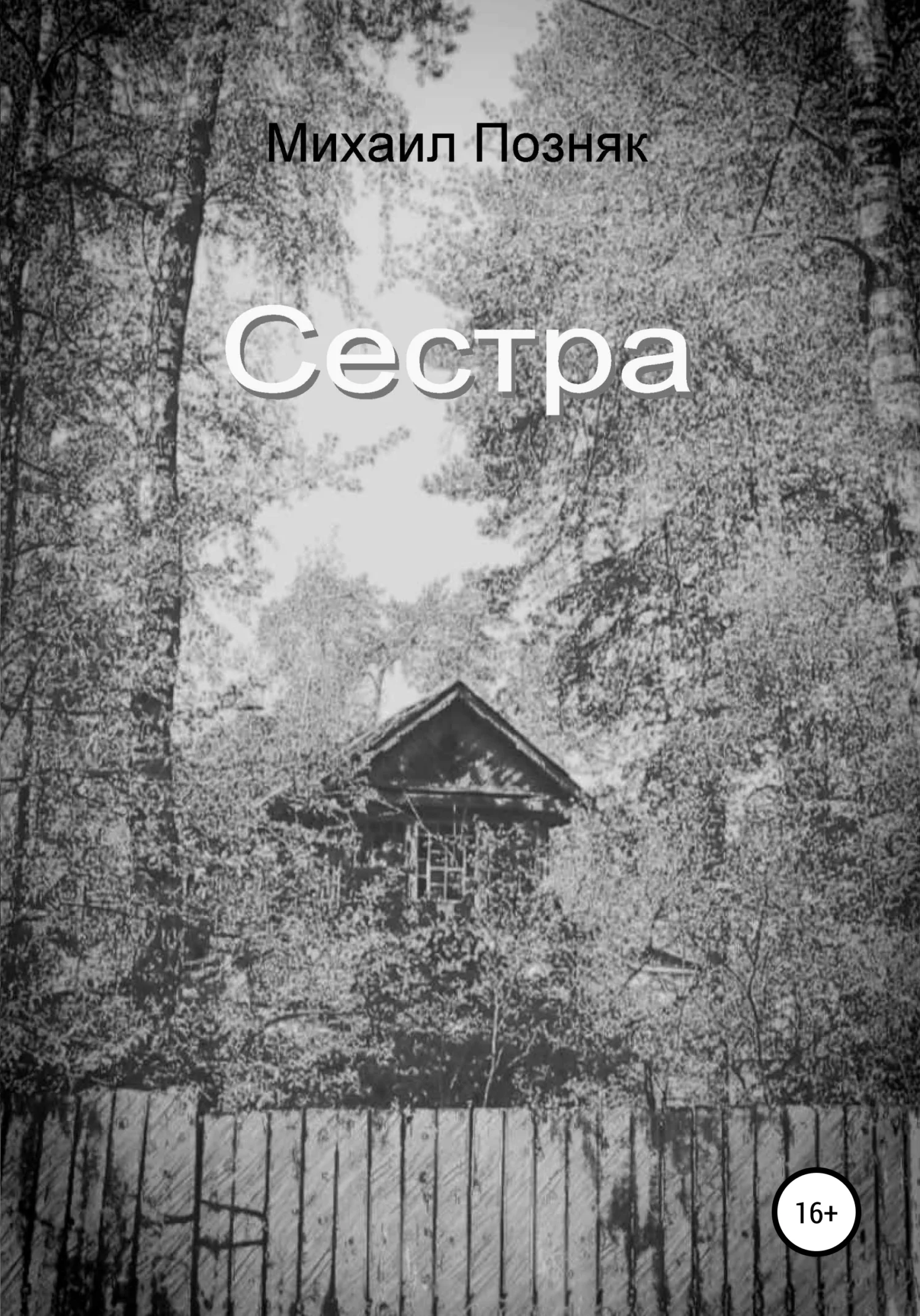 Обложка Сестра