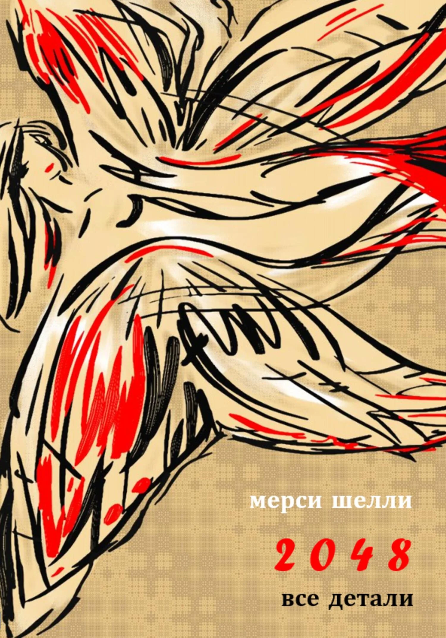 Обложка 2048. Все детали