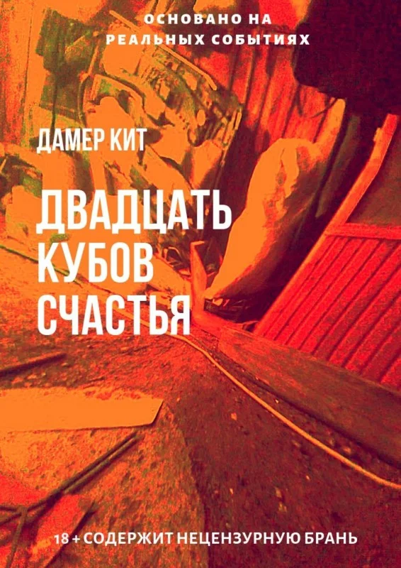 Обложка Двадцать кубов счастья