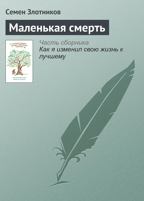 Обложка Маленькая смерть