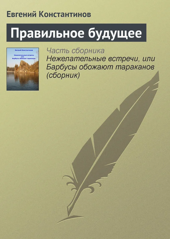 Обложка Правильное будущее