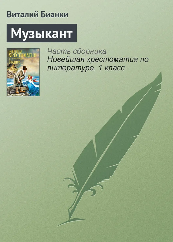 Обложка Музыкант