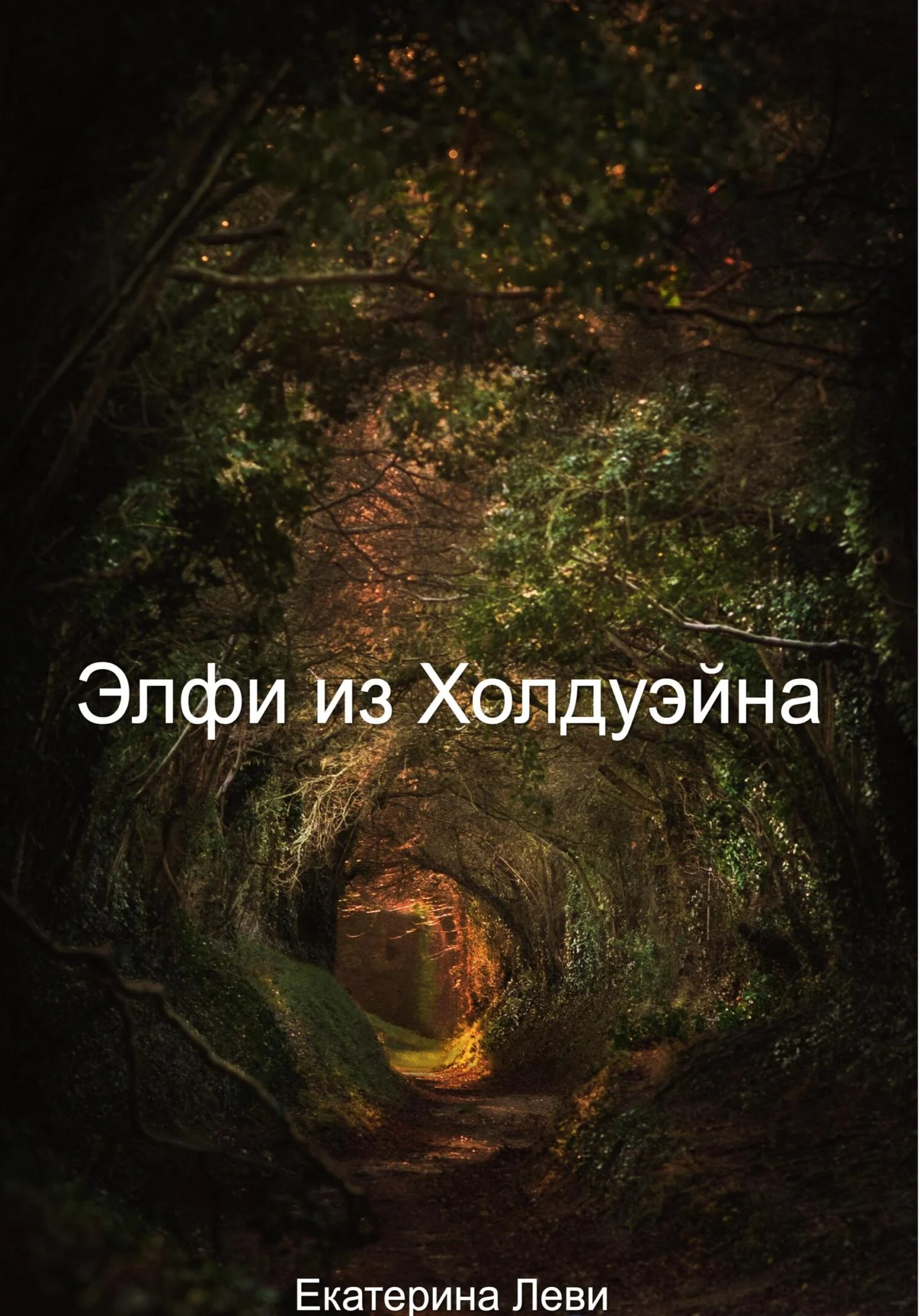 Обложка Элфи из Холдуэйна