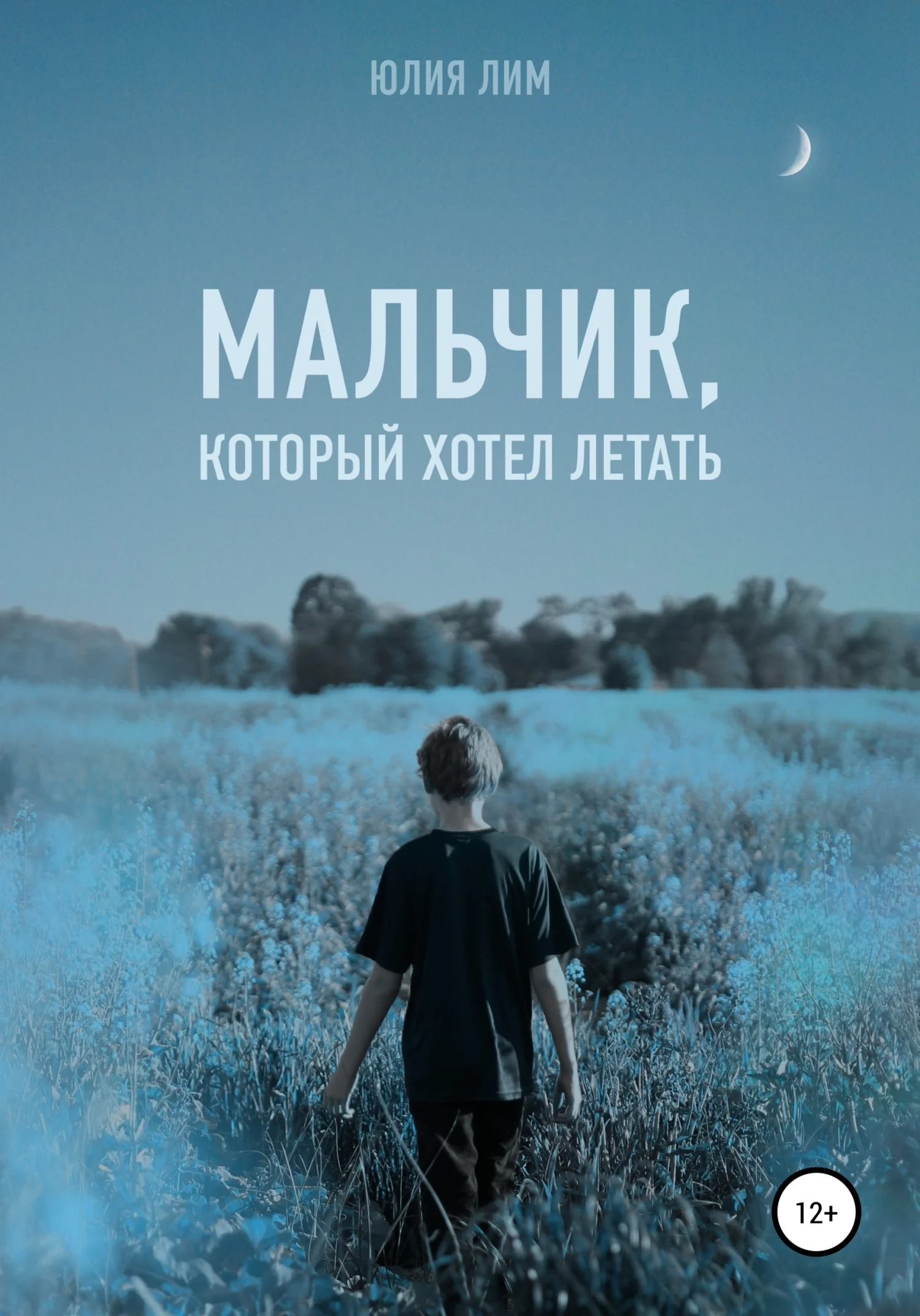 Обложка Мальчик, который хотел летать