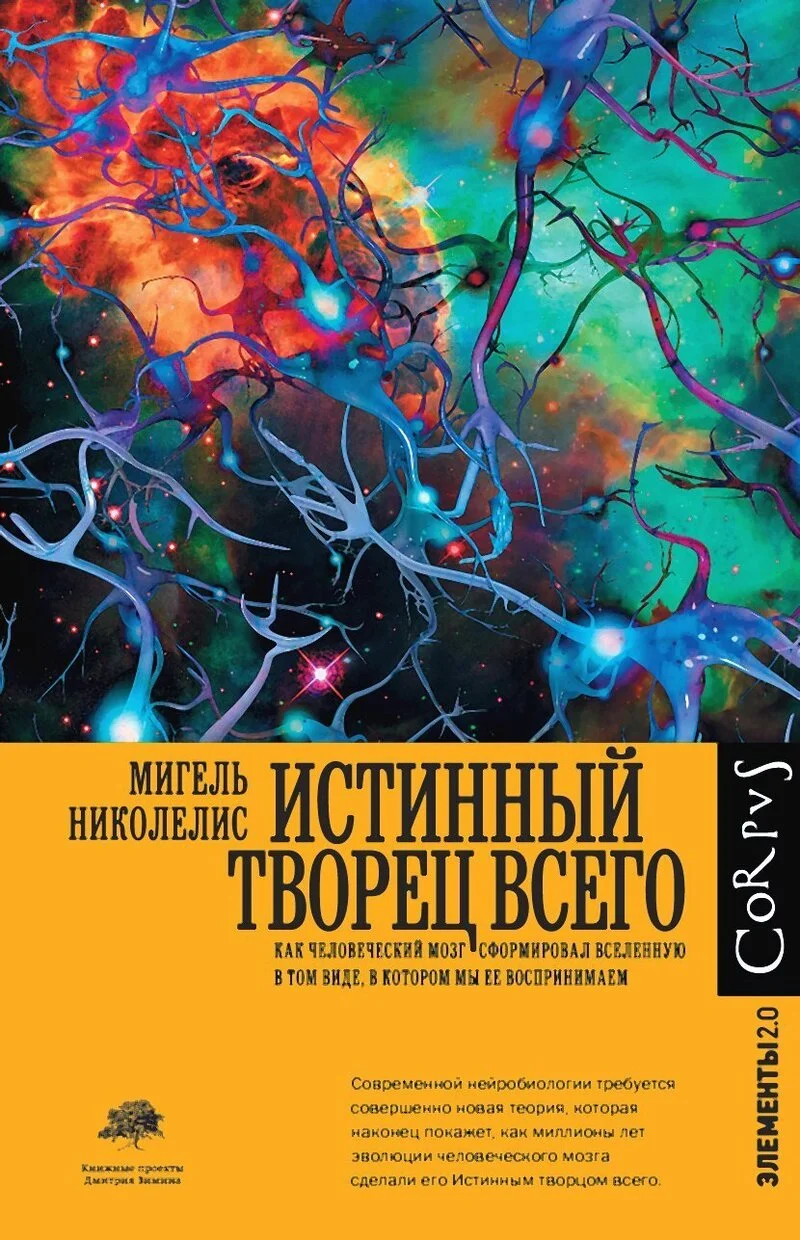Обложка Истинный творец всего. Как человеческий мозг сформировал вселенную в том виде, в котором мы ее воспринимаем