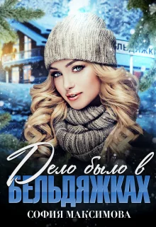 Обложка Дело было в Бельдяжках