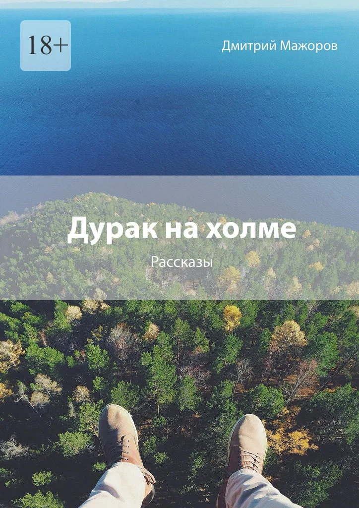 Обложка Дурак на холме