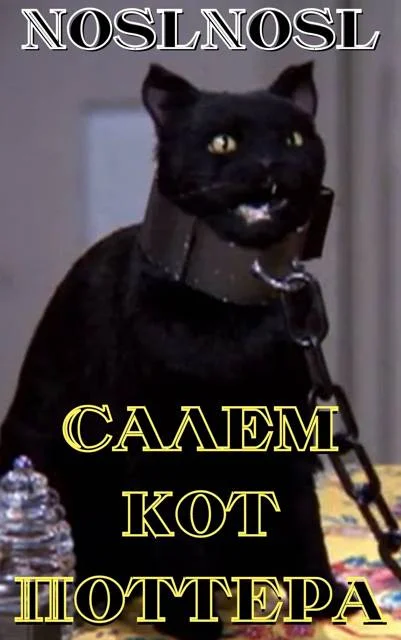 Обложка Салем кот Поттера