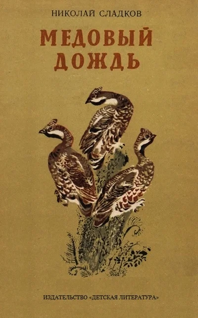 Обложка Медовый дождь