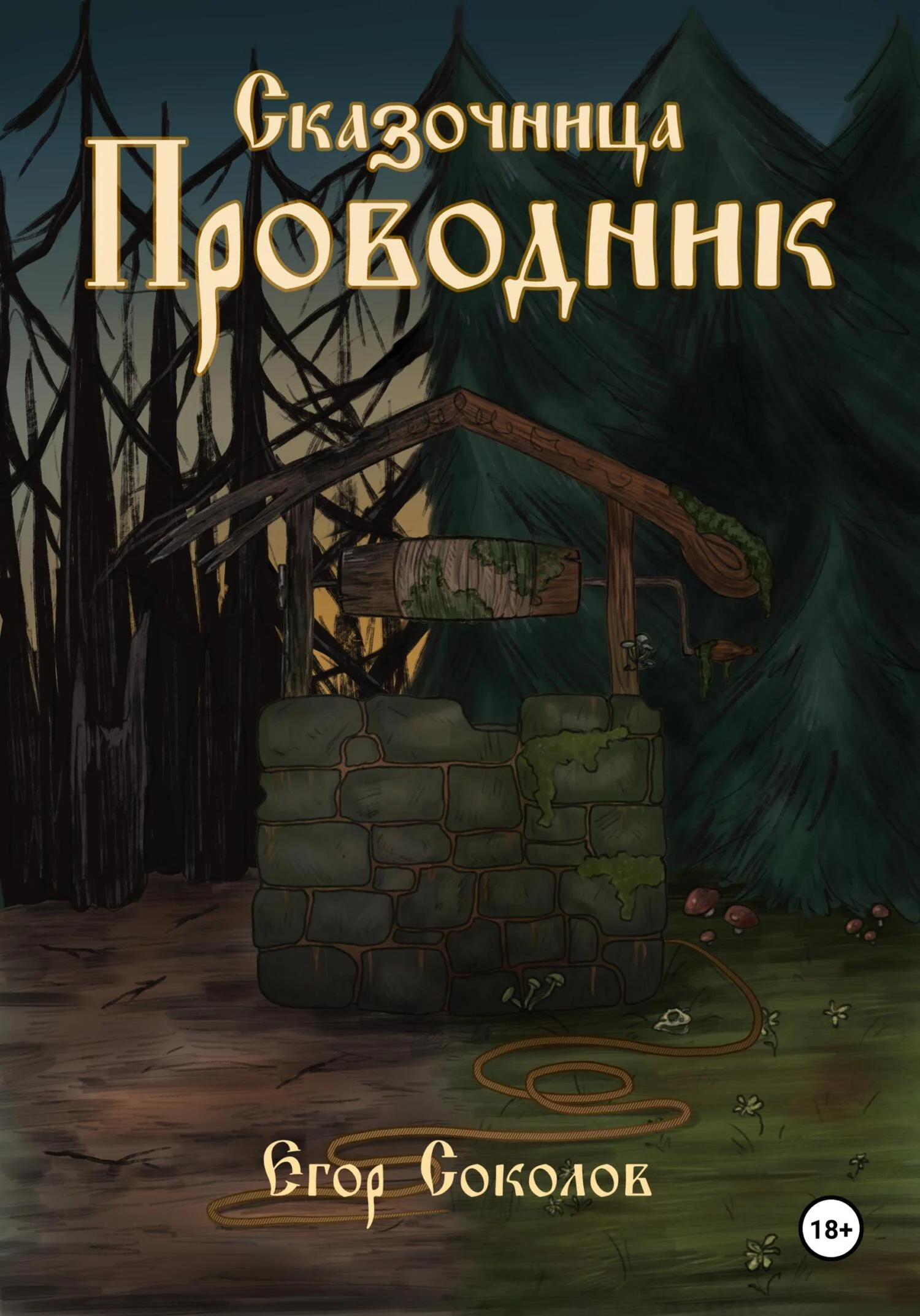 Обложка Провoдник