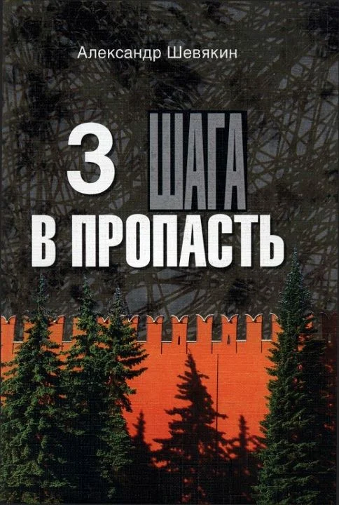 Обложка 3 шага в пропасть